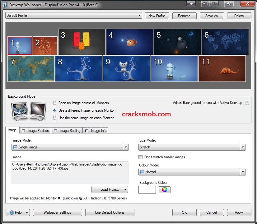 DisplayFusion Pro 10.1.1 download the new for windows