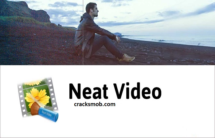 Neat Video Crack