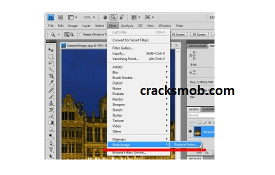 Neat Image Pro Crack