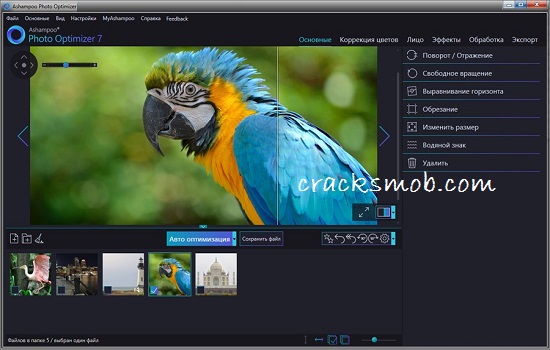 Ashampoo Photo Optimizer Crack (3)