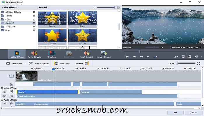 AVS Video Converter License Key